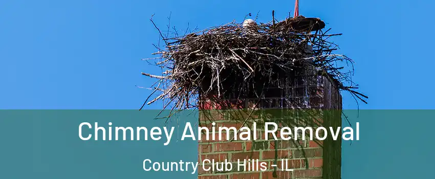 Chimney Animal Removal Country Club Hills - IL