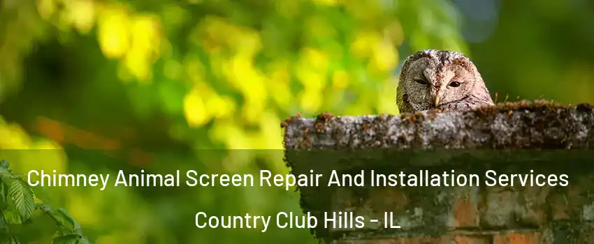 Chimney Animal Screen Repair And Installation Services Country Club Hills - IL
