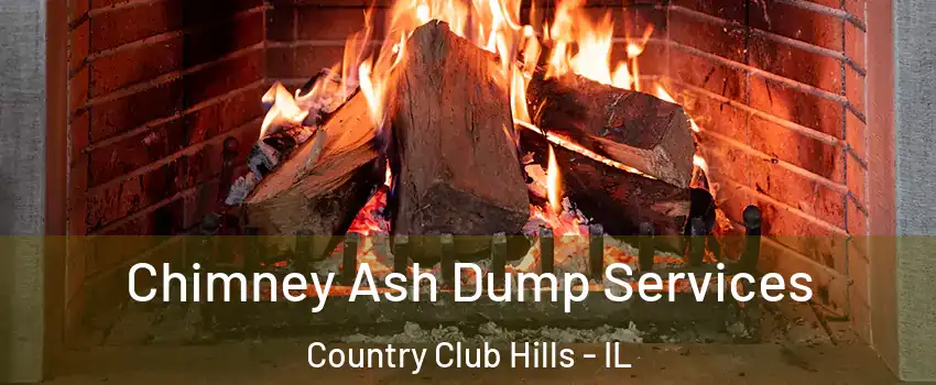 Chimney Ash Dump Services Country Club Hills - IL