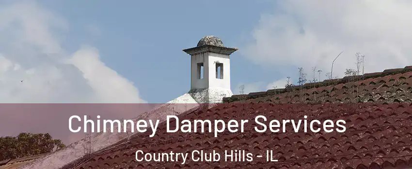 Chimney Damper Services Country Club Hills - IL