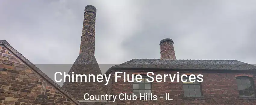 Chimney Flue Services Country Club Hills - IL