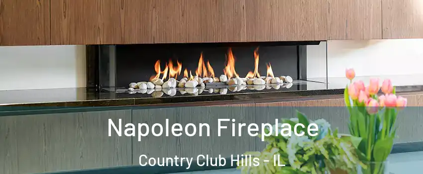 Napoleon Fireplace Country Club Hills - IL